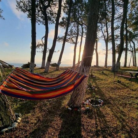 Evrika Hotel Shekvetili Zewnętrze zdjęcie