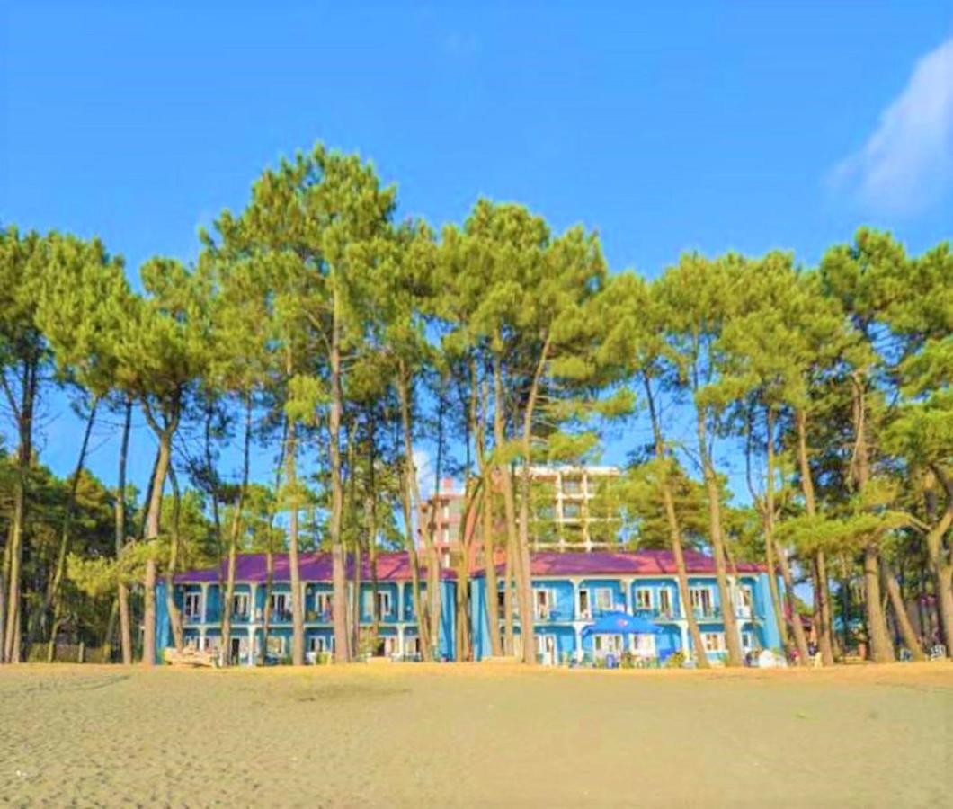 Evrika Hotel Shekvetili Zewnętrze zdjęcie