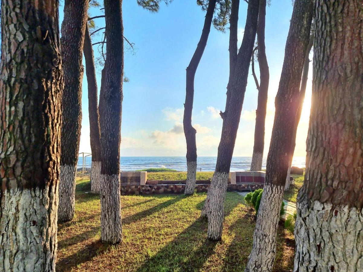 Evrika Hotel Shekvetili Zewnętrze zdjęcie