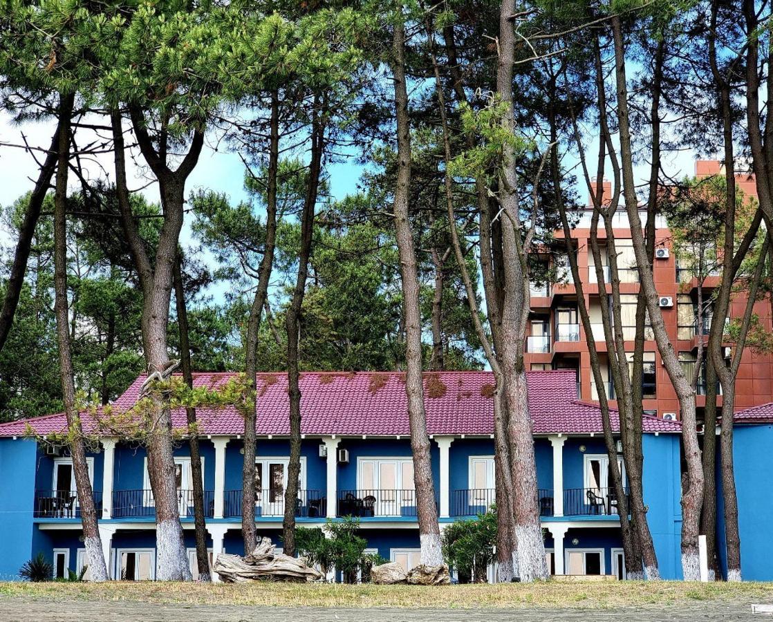 Evrika Hotel Shekvetili Zewnętrze zdjęcie